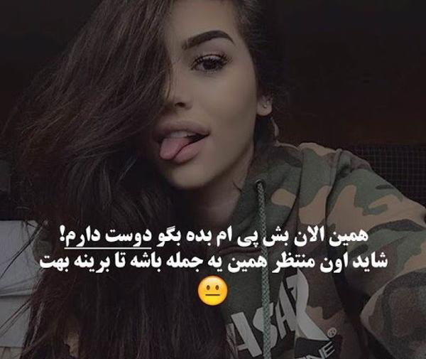 عکس هانده ارچل شاخ