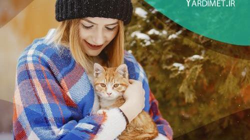 عکس هانده ارچل با گربه