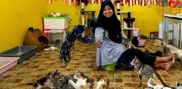عکس هانده ارچل با گربه
