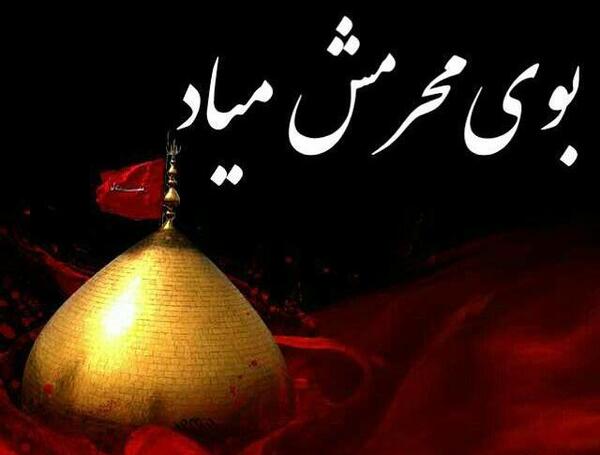 عکس بوی بهشت کربلا بوی محرمش میاد از جواد مقدم