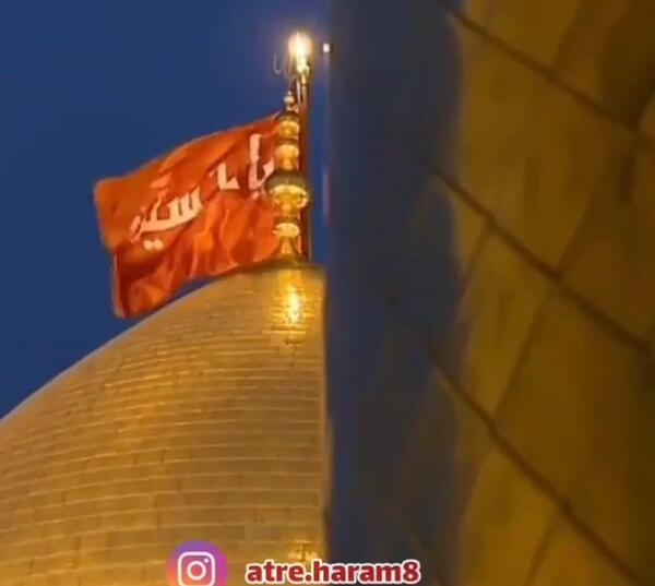 عکس بوی بهشت کربلا بوی محرمش میاد از جواد مقدم