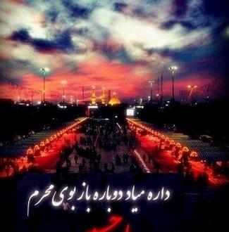 عکس پروف بوی محرمش میاد