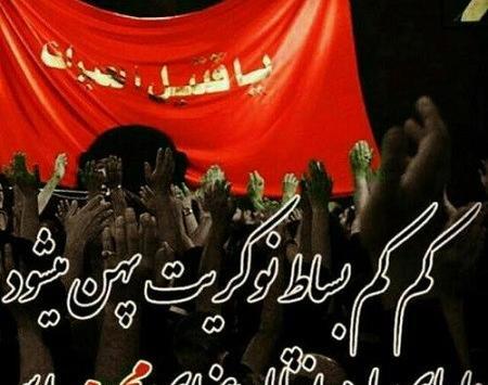 عکس شمیم پرچمش میاد بوی محرمش میاد