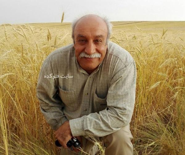 عکس سریال آقا نیکی