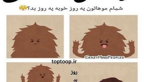 عکس کیوت قهوه ای