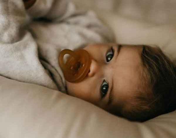 عکس کیوت قهوه ای