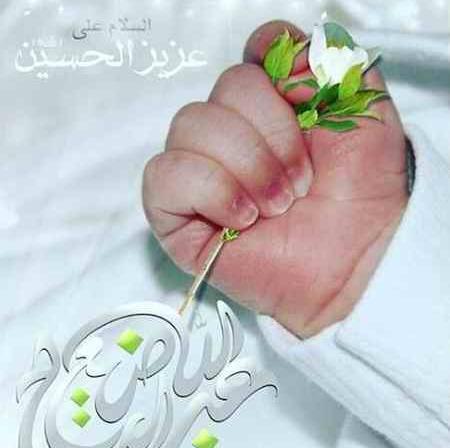 عکس پروفایل ماه محرم علی اصغر