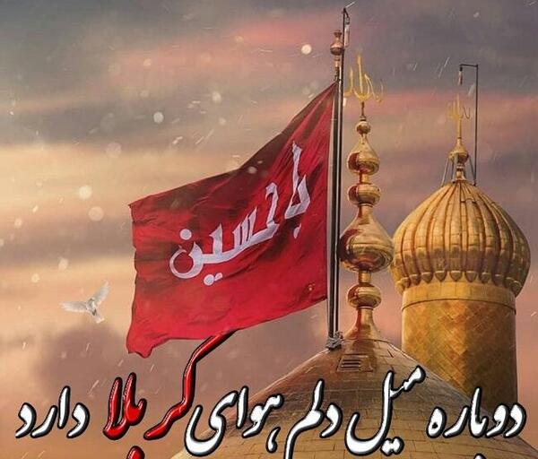 عکس کربلا ای کاش من مسافرت بودم