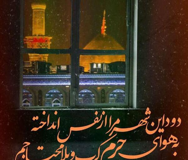 عکس خاص کربلا