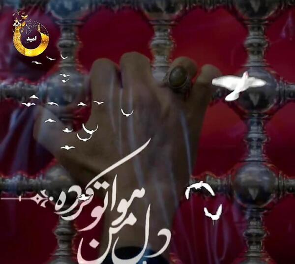 عکس کربلا دلم هواتو کرده