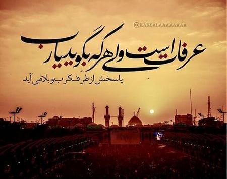 عکس کربلا روز عرفه