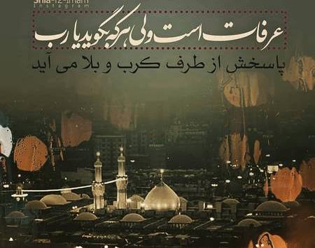 عکس کربلا روز عرفه