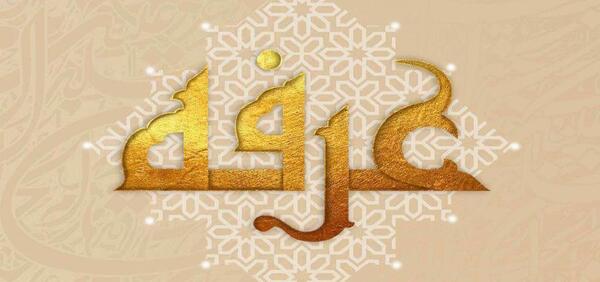 عکس کربلا روز عرفه