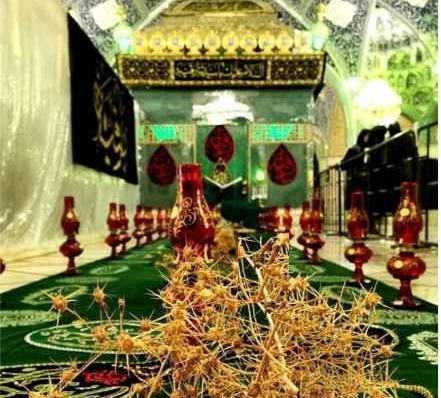 عکس کربلا رقیه