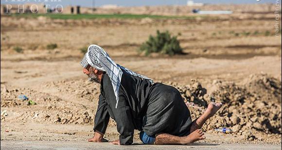 عکس راه کربلا