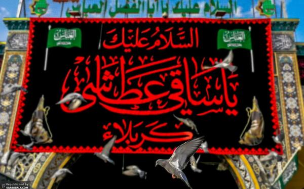 عکس سقای کربلا