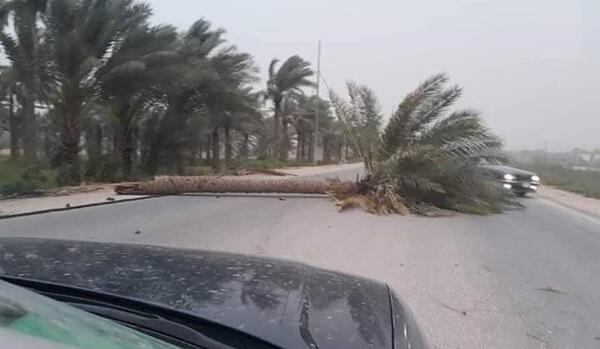 عکس طوفان کربلا