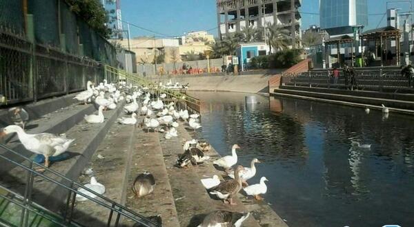 عکس کربلا فرات