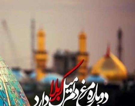 عکس نوشته ی کربلا میخوام