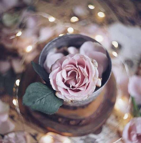 عکس پروفایل شیک ترین