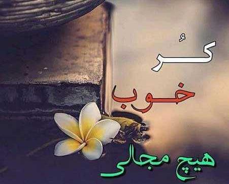 عکس نوشته های زبان شیرین لری