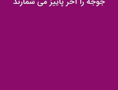 عکس ضرب المثل جوجه را آخر پاییز میشمارند