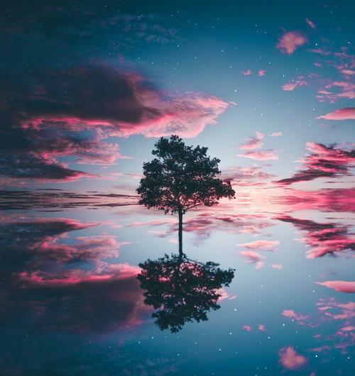 عکس طبیعت زیبای صورتی