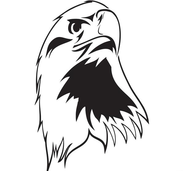 عکس عقاب نقاشی