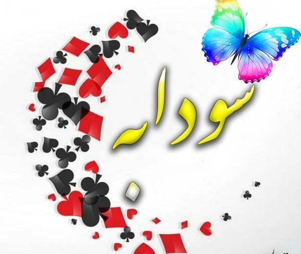 عکس نوشته ی پروانه