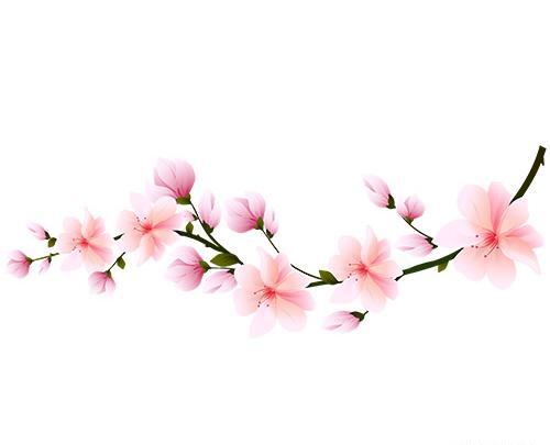 عکس شکوفه کارتونی