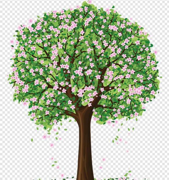 عکس شکوفه کارتونی