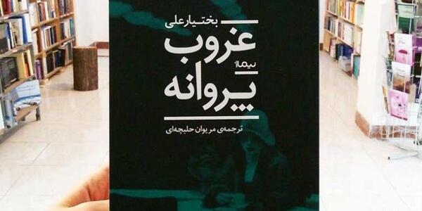 عکس غروب پروانه