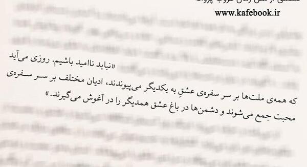 عکس غروب پروانه