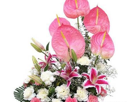 عکس سبد گلهای زیبا