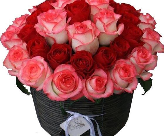 عکس سبد گلهای زیبا