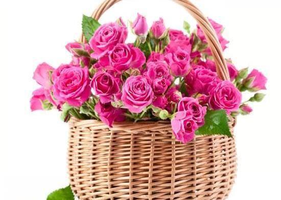 عکس سبد گلهای زیبا