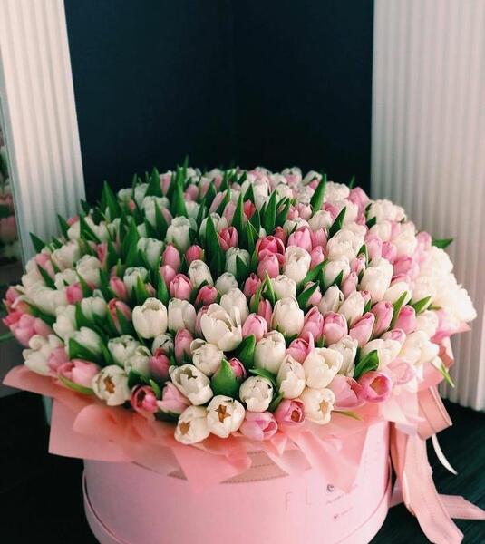 عکس سبد گلهای زیبا