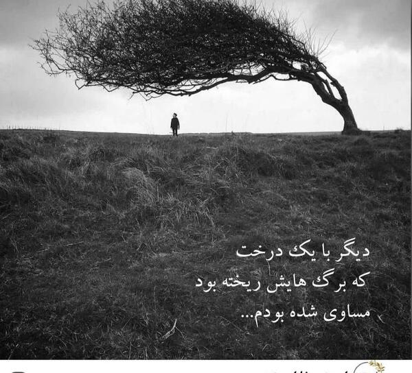 عکس نوشته احمد رضا احمدی