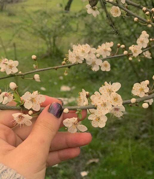 عکس نوشته احمد رضا احمدی