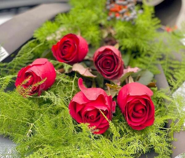 عکس گل سینا