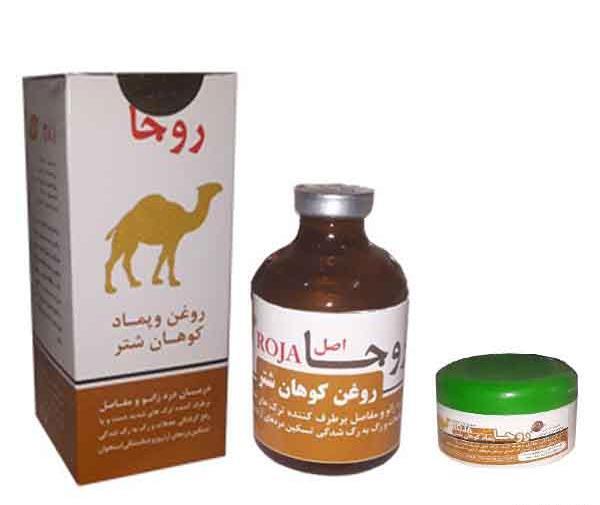 عکس زانوی شتر