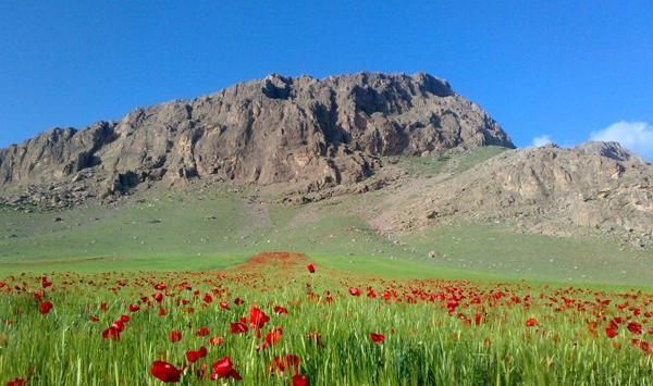عکس منظره لری