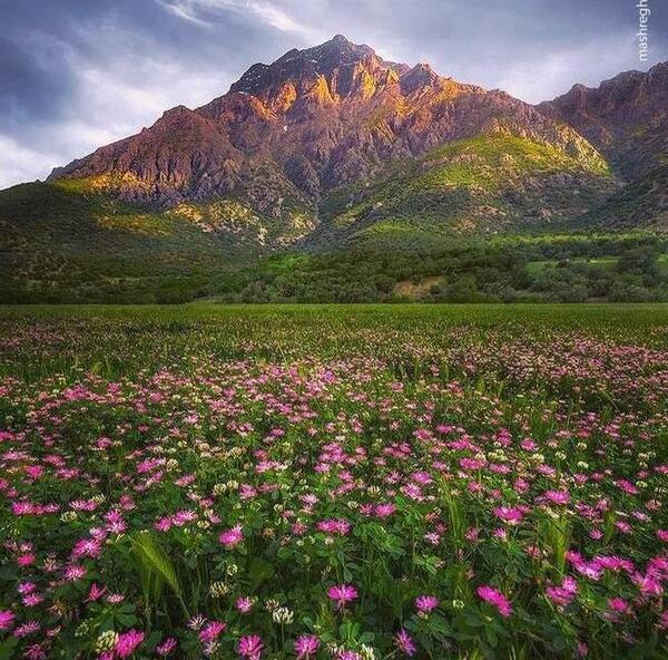 عکس منظره لری