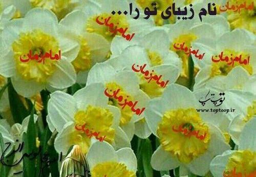 عکس نوشته گل نرگس بیا