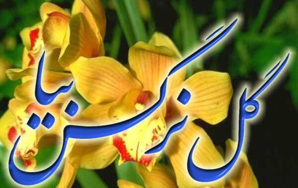 عکس نوشته گل نرگس بیا