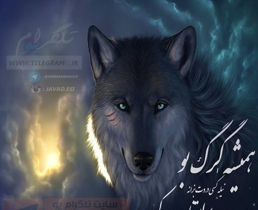 عکس نوشته زیبا کردی