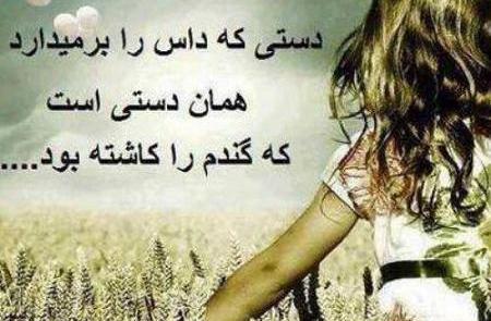 عکس نوشته روزگار عجیبیست نازنین