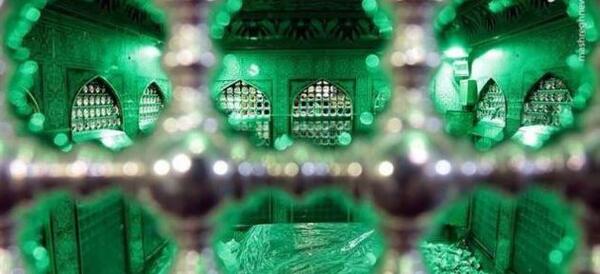 عکس دست به ضریح امام رضا