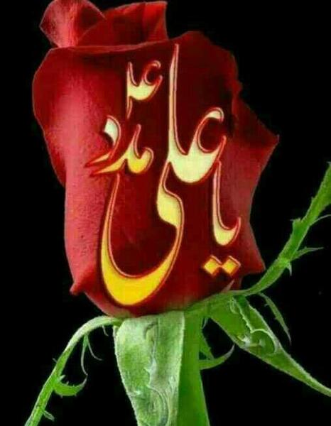 عکس نوشته علی مدد