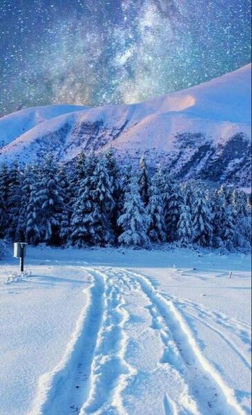 عکس پروفایل طبیعت زمستون